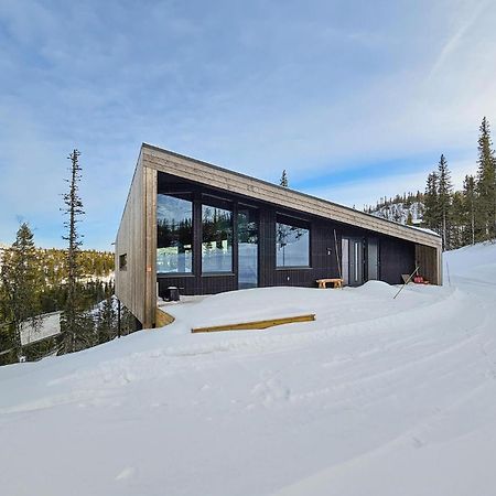 Awesome Home In Rjukan With Sauna Exterior photo