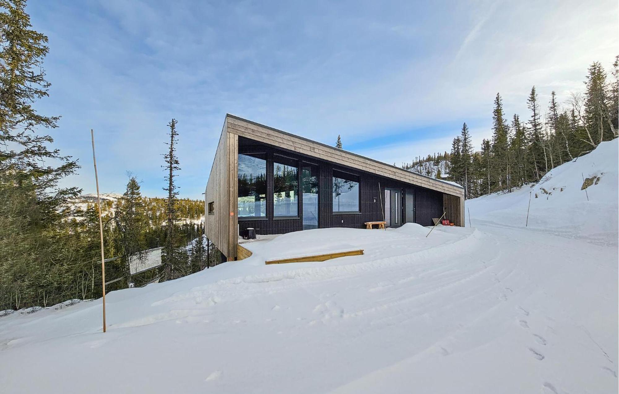 Awesome Home In Rjukan With Sauna Exterior photo